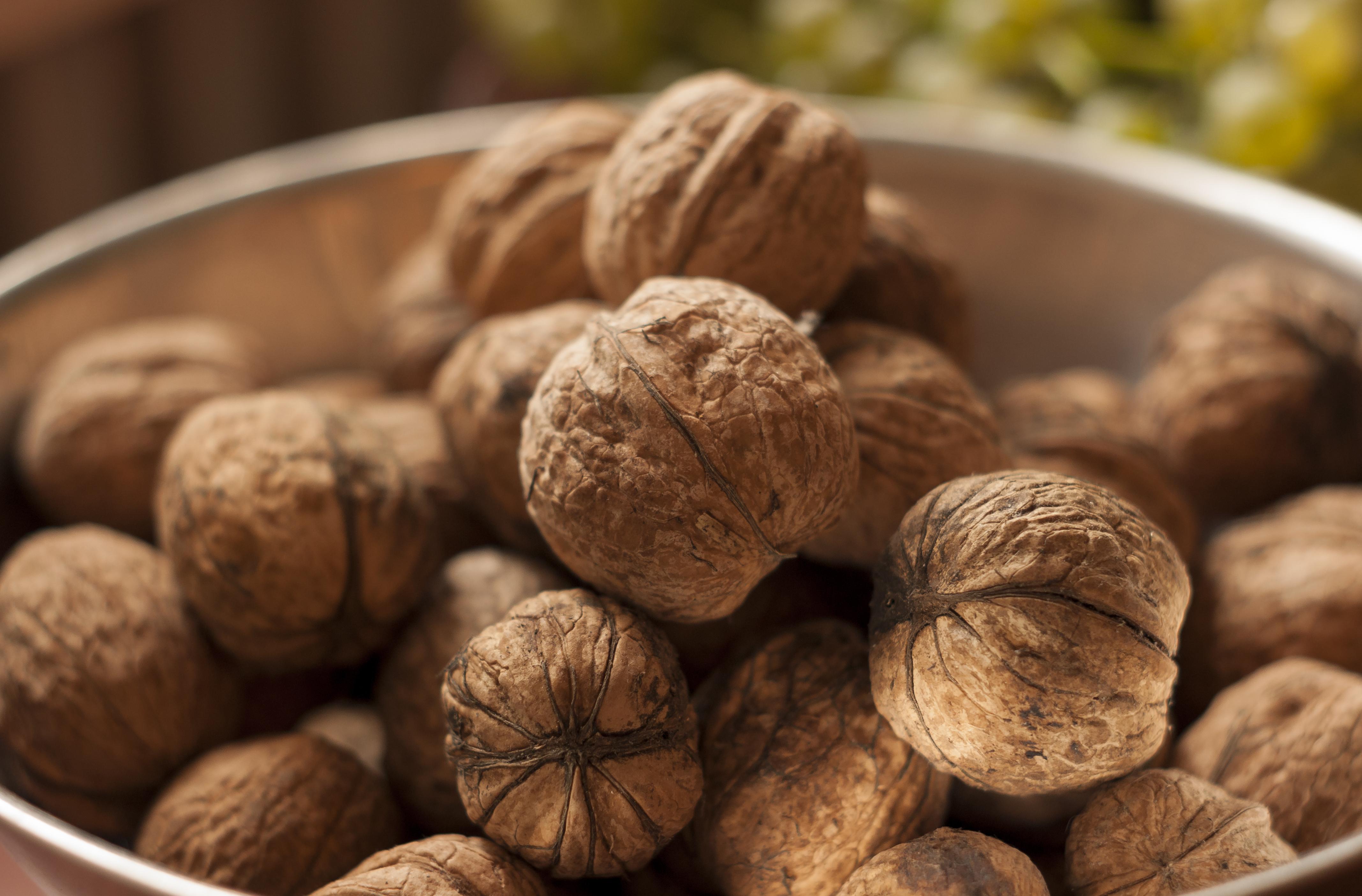 Can We Eat Walnut During Early Pregnancy