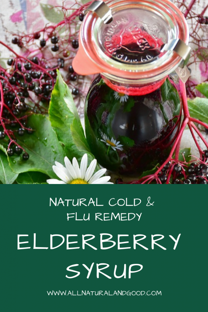 Elderberry Syrup For a Cold or Flu