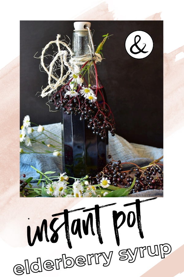 Instant Pot Elderberry Syrup Recipe