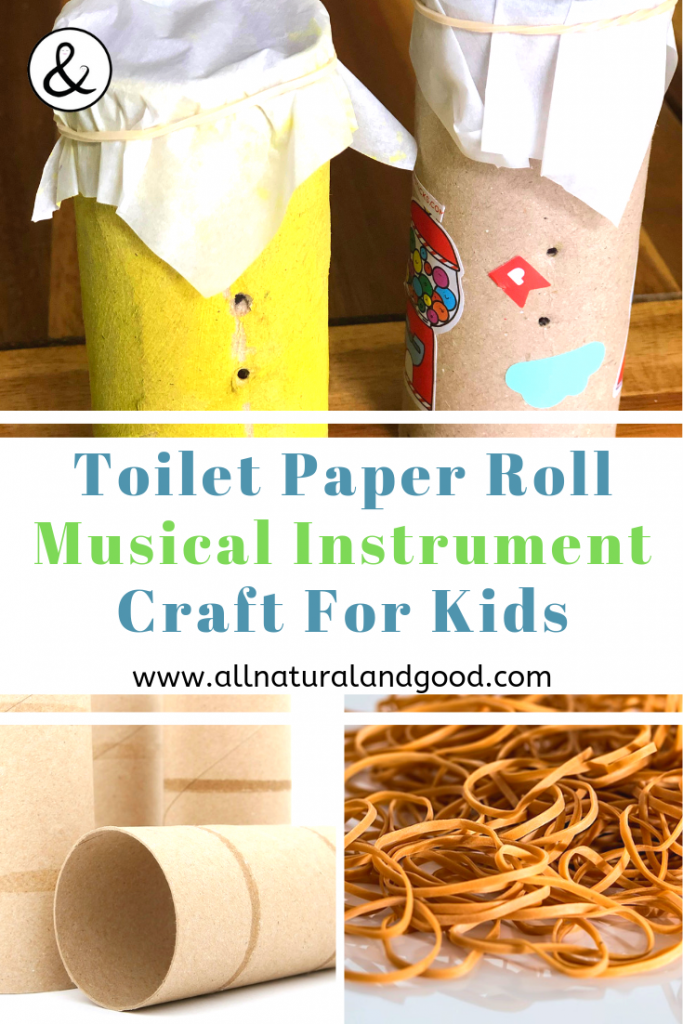 Toilet Paper Roll Musical Instrument Craft • All Natural & Good • Crafts