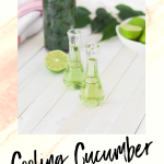 DIY Cooling Cucumber Toner
