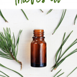 The Benefits of Thieves Essential Oil