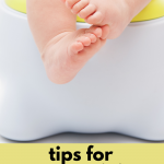 Tips For Potty Training Success