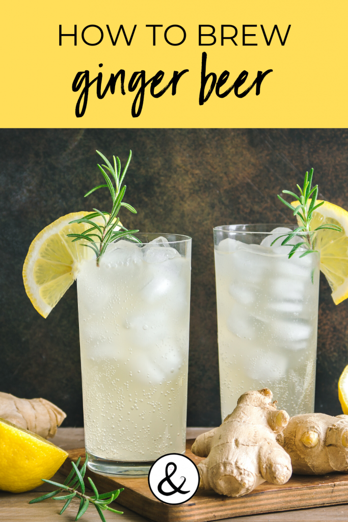 How to Brew Ginger Beer