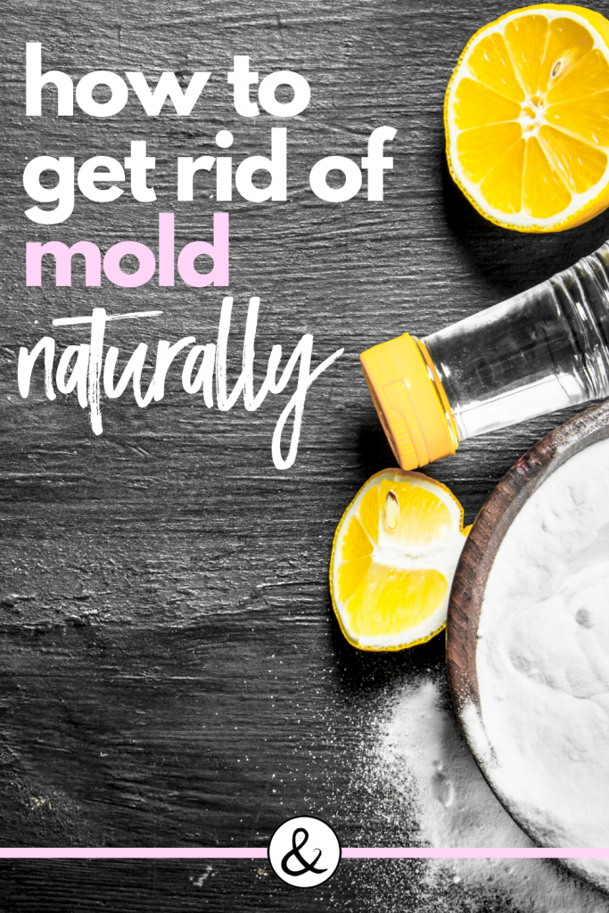 How to Get Rid of Mold Naturally