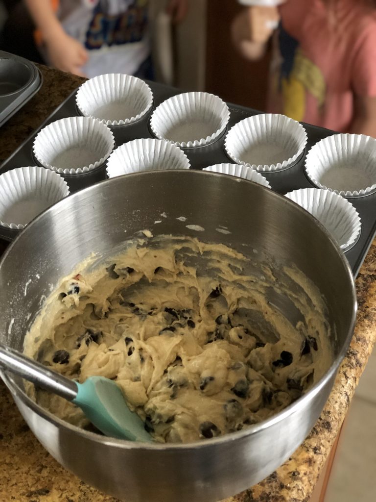 Blueberry Chocolate Chip Muffin Recipe