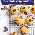 Blueberry Chocolate Chip Muffins with No Crumbs