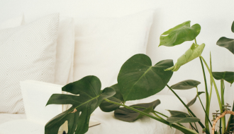Is Your Mattress Toxic?