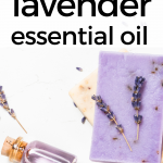 30 Uses For Lavender Essential Oil