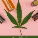 The Benefits of CBD Oil