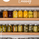 Top Five Benefits of Canning