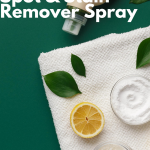 DIY Spot & Stain Remover Spray